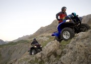 Yamaha Grizzly Yamaha Grizzly